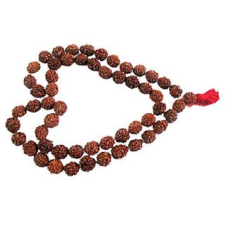                       Ceylonmine - Rudraksh Shiva God mala for Men & Women                                              