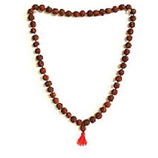                       Ceylonmine Five  Faced Rudraksh Mala for Unisex                                              