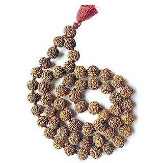                       Rudraksha 5 Mukhi  mala for Men  Women by Ceylonmine                                              