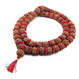                      rudraksha mala Original, rudraksha mala for Men Original  5 Face Rudraksha Mala by Ceylonmine                                              