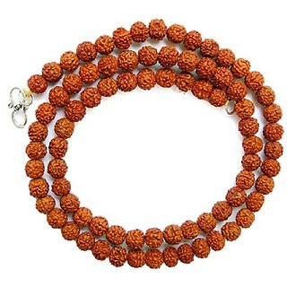                       Lab Certified Rudraksha Mala Men/Women by Ceylonmine                                              