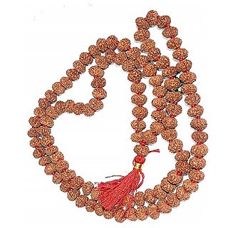                       5 Mukhi Rudraksha Mala Lab Certified by Ceylonmine                                              