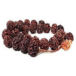                       Rudraksha  Mala nepali Rudrakash Mala by Ceylonmine                                              