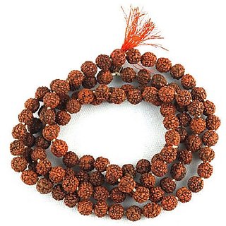                       Rudraksha 5 Mukhi  mala for Men  Women by Ceylonmine                                              