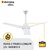 Atomberg Efficio 1400 Mm Bldc Motor With Remote 3 Blade Ceiling Fan White P