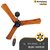 Atomberg Renesa+ 900mm BLDC motor Energy Saving Fan with Remote Control  Oak Wood