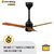 Atomberg Renesa+ 900mm BLDC motor Energy Saving Fan with Remote Control  Oak Wood