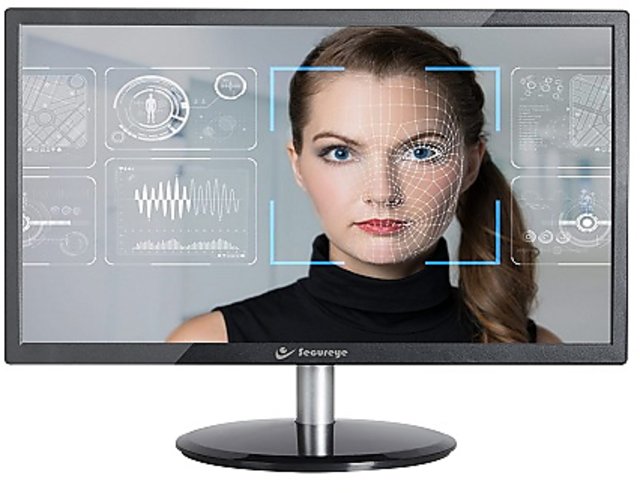 secureye monitor 15 inch price