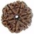 6 Mukhi Rudraksha Original Nepali  Six Face Rudraksha Nepali  100 Original