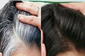 Darkening Shampoo for Gray Hair Treatment with Natural Extracts (10 Maxxpro packets)