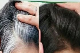 Darkening Shampoo for Gray Hair Treatment with Natural Extracts (Hair Coloring Maxxpro)