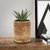 GoBamboos Eco-friendly Handcrafted Bamboo Small Planter For Home Garden Home Dcor