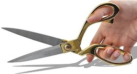 Premium Quality 9.5 inch Golden handle Scissors for Kitchen Stationary Tailoring