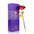 Valentines Day Friendship's Day Special 24K Gold Rose with Beautiful Gift Box (30x9x9cm) Gold Rose for Girlfriend/Boyfri