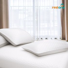 Restoria Micro Fiber Pillow