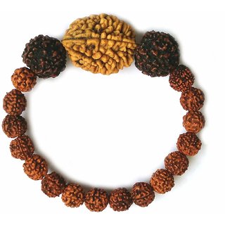                       Yuvi Shoppe  2 Mukhi Rudraksh, 5 Mukhi Beads Wrist Band Bracelet for Men and Women (Brown)                                              