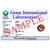 Hessonite Garnet (gomed) Certified Gemstone 10.50 ratti Natural