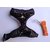 Cat Harness Black Squine with Nylon Lease Size M (Medium) Neck 32 cm circumferences - Good Beautiful  Softy Harness