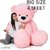 GURU NANAK ENTERPRISES SUPER SOFT TEDDY BEAR 4.5 FT FILLED WITH FIBER