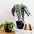 Style UR Home - Modern Decorative Plastic Flower Pots- Indoor- Outdoor - Set of 4