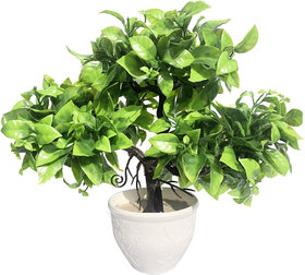 Artificial Green Plant with Pot
