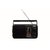 Santosh Five Band Portable FM Radio- 3 Batteries Required (Models May Vary)