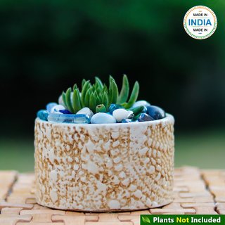 Buy Lasaki Oxygen Small Ceramic Pots For Table Top Indoor Plants Planters Flower Pots Outdoor Succulent Pot Online 750 From Shopclues