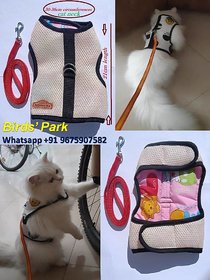Cat Halter Escape-Proof with Nylon Lease Size 18 No((Neck Size 30-36 cm circumferences). PLS Check Size BE'FORE Buying