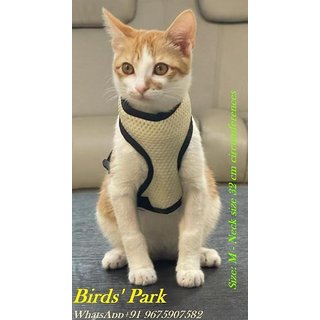 Cat Harness Escape-Proof White with Nylon Lease Size M (Neck Size 32cm circumferences)  PLS Check Size Before Buying