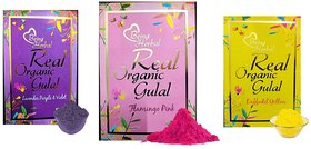 Arham Herbal Real Organic Gulal  Holi Color Powder (Purple, Pink and Yellow)