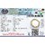 KESAR ZEMS Natural  Quartz Cats Eye Stone Stretchable Bracelet With Certificate For Unisex  (10 x 2 x 1 CM) Ivory Coffee