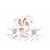 Arni Plastic Exclusive and Microwave Safe, Platic Printed Round Dinner Set of 38 Pieces