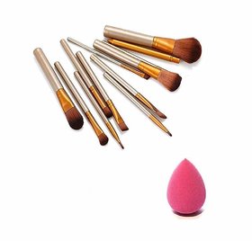 Lustrous Beauty Professional makeup bursh set (12 piece) with blender puff
