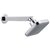 Drizzle Cruz Overhead Shower With 9 Inch Long Arm