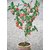 SHOP 360 GARDEN Rare Tamarillo / Tree Tomato / Cyphomandra betacea Edible Fruit Seeds For Growing (Pack of 50 Seeds)