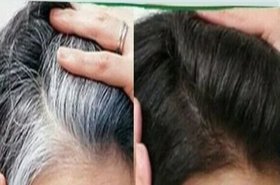 Instant Black Hair Shampoo Make Grey and White Hair Darkening ( Natural Looking Hair by Maxxpro )