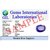 D3 MART Neelam 8 -Ratti IGLI Blue Blue Sapphire (Neelam) Precious Gemstone