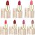 LOTUS  UP MAKE-UP PURE COLORS MATTE LIP COLOR ENDLESS mix shade pack of 7 ps(Multicolor, 4.2 g)