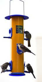 Amijivdaya Metal (iron) bird feeder