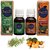 Moriox Aromas Tea Tree and Mandarin essential oils (Pack of 2)