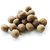 Plant House - 11 Honey Dew Papaya Seed Balls - 11 Papita Fruit Seed Balls - Fast Grow Earth Balls/Seed Balls