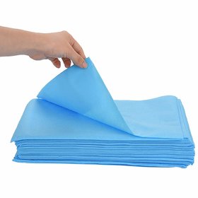 RxShopy Blue Big Disposable Bed Sheets Double cot 63X90  (Pack of 10)