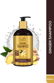 Spantra Giner Shampoo for Hair 300ml Anti Dandruff Hair Fall Control Paraben free  Sulphate free Shampoo
