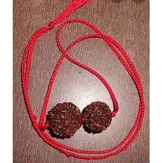                       Kesar Zems 5 and 6 Mukhi Rudraksha Combination                                              