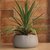 Elemntl Metal Planter Pot for Indoor Plants (Matte Grey)  5.5 x 3 in  Planter For Living Room Decor