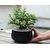 Elemntl Metal Planter Pot for Indoor Plants (Matte Black)  5.5 x 3 in  Planter For Living Room Decor