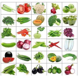                       Combo (Pack Of 30+ Variety) Vegetable Seeds For Terrace And Kitchen Gardening                                              