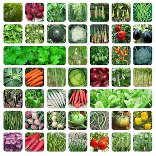                       46 Variety of Vegetable Seeds with Instruction Manual for Indian Climate Home Garden. Total 2300+ Seeds                                              