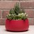 Elemntl Metal Planter Pot for Indoor Plants (Matte Red)  5.5 x 3 in  Planter For Living Room Decor