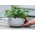 Elemntl Metal Planter Pot for Indoor Plants (Matte White) 5.5 x 3 in Planter For Living Room Decor